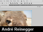 Neuer Arbeitsbereich in Fireworks CS4