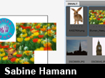 Bilder platzieren mit der Bridge Bilder platzieren mit der Bridge