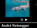 Slideshow mit Play/Pause-Funktion in Flash CS4